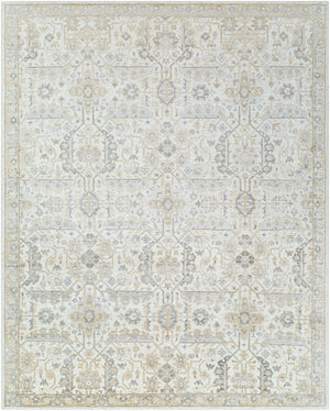 Aleyna ANE-2301 9' x 12' Handmade Rug ANE2301-912  Light Brown, Gray, Olive, Oatmeal, Cream Surya
