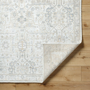 Aleyna ANE-2301 9' x 12' Handmade Rug ANE2301-912  Light Brown, Gray, Olive, Oatmeal, Cream Surya