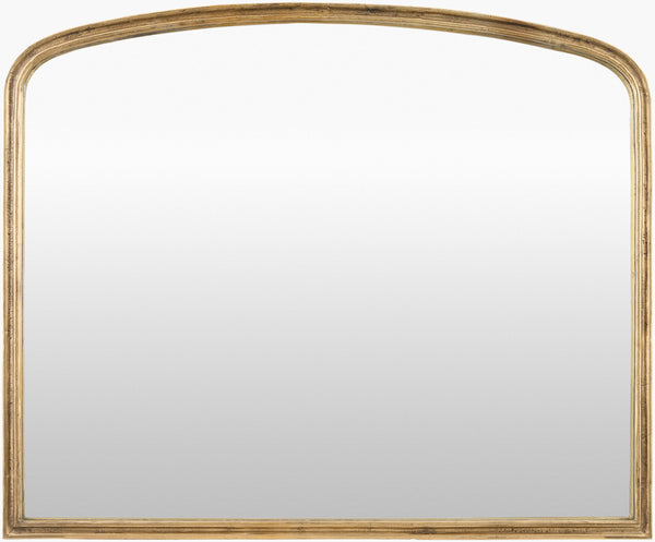Surya Anemoi 36” X 44” Elegant Accent Mirror - Timeless Wall Decor To Elevate Your Home's Ambiance! Frame, Gold Aluminum Anem002-3644
