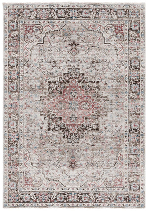 Safavieh Antique Patina 642 Power Loomed Traditional Rug ANP642B-10