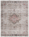 Safavieh Antique Patina 642 Power Loomed Traditional Rug ANP642B-10