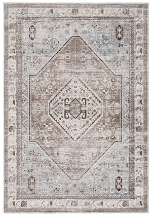 Safavieh Antique Patina 646 Power Loomed Traditional Rug ANP646M-10