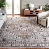 Safavieh Antique Patina 646 Power Loomed Traditional Rug ANP646M-10