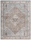 Safavieh Antique Patina 646 Power Loomed Traditional Rug ANP646M-10