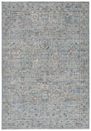 Safavieh Antique Patina 656 Power Loomed Traditional Rug ANP656M-10