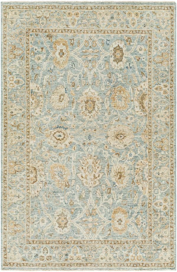 Anatolia ANY-2307 6' x 9' Handmade Rug ANY2307-69  Light Sage, Dark Brown, Light Olive, Light Beige Surya