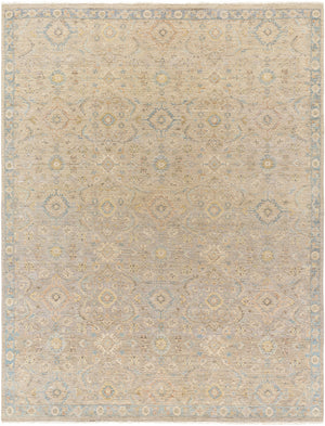Anatolia ANY-2308 8' x 10' Handmade Rug ANY2308-810  Light Beige, Tan, Light Brown, Denim Surya