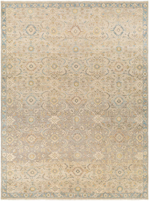 Anatolia ANY-2308 9' x 12' Handmade Rug ANY2308-912  Light Beige, Tan, Light Brown, Denim Surya