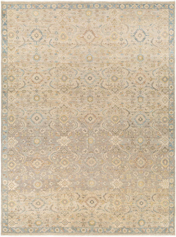 Anatolia ANY-2308 9' x 12' Handmade Rug ANY2308-912  Light Beige, Tan, Light Brown, Denim Surya