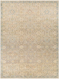 Anatolia ANY-2308 9' x 12' Handmade Rug ANY2308-912  Light Beige, Tan, Light Brown, Denim Surya