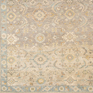 Anatolia ANY-2308 9' x 12' Handmade Rug ANY2308-912  Light Beige, Tan, Light Brown, Denim Surya