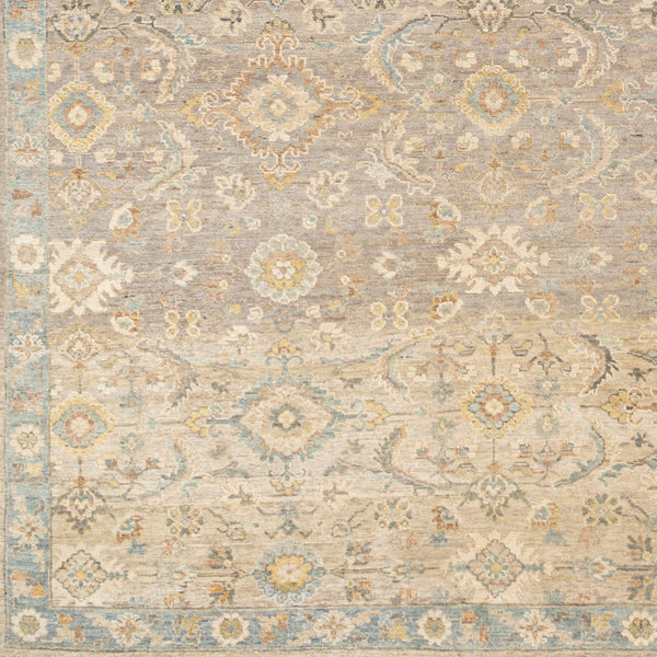 Anatolia ANY-2308 9' x 12' Handmade Rug ANY2308-912  Light Beige, Tan, Light Brown, Denim Surya
