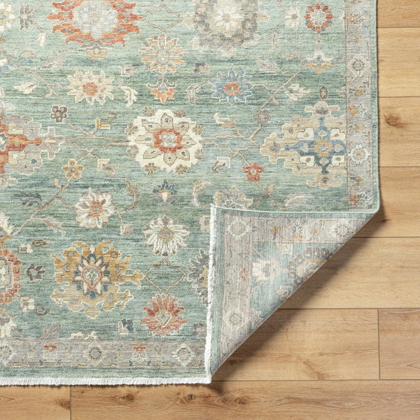 Anatolia ANY-2313 9' x 12' Handmade Rug ANY2313-912  Ash, Sage Surya