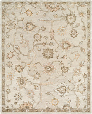 Livabliss Arnold Artisan Hand Tufted Wool Accent Rug Traditional Pattern for Bedroom Bath Kitchen Cream, Tan 8' x 10' AOD2305-810