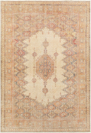 Antique One of a Kind AOOAK-1048 8' x 11'6" Handmade Rug AOOAK1048-8116  Khaki, Natural, Light Wood, Camel Surya