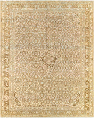 Antique One of a Kind AOOAK-1070 10'5" x 13' Handmade Rug AOOAK1070-10513  Natural, Khaki, Camel, Light Wood Surya
