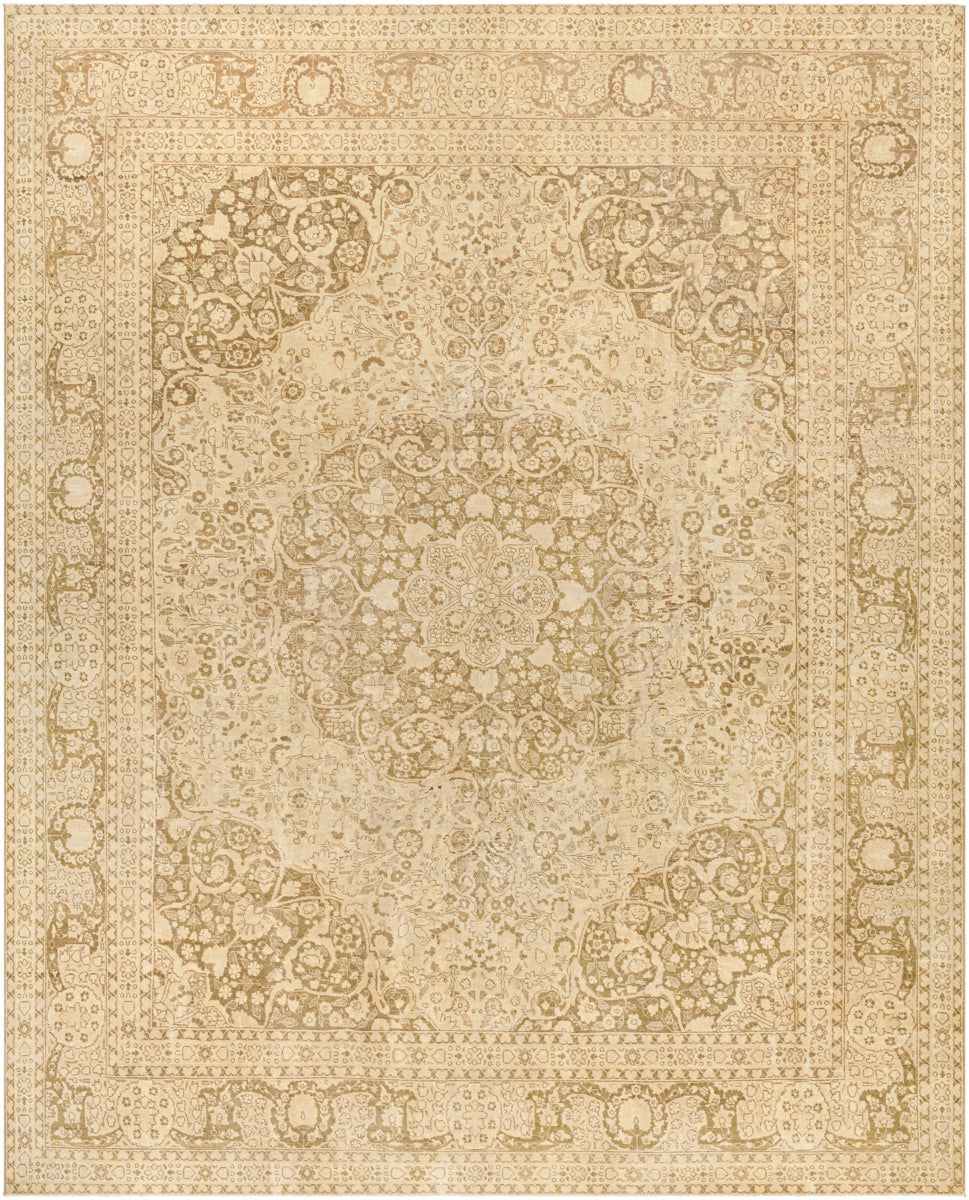 Antique One of a Kind AOOAK-1071 11' x 13'8" Handmade Rug AOOAK1071-11138  Natural, Khaki, Camel, Tan, Light Wood Surya