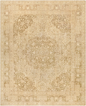 Antique One of a Kind AOOAK-1071 11' x 13'8" Handmade Rug AOOAK1071-11138  Natural, Khaki, Camel, Tan, Light Wood Surya