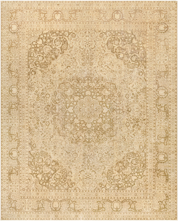 Antique One of a Kind AOOAK-1071 11' x 13'8" Handmade Rug AOOAK1071-11138  Natural, Khaki, Camel, Tan, Light Wood Surya