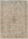 Antique One of a Kind AOOAK-1127 8'9" x 12'4" Handmade Rug AOOAK1127-89124  Khaki, Grey, Ash Surya