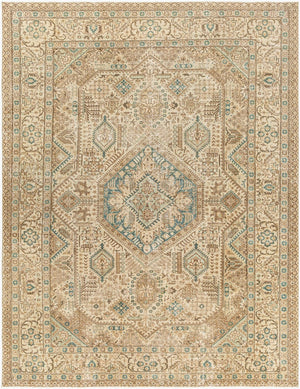 Surya Antique Hand Knotted Heirloom Area Rug with Aged Patina for Large Living Spaces AOOAK1137-86101