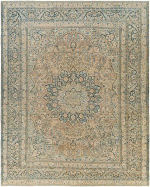 Antique One of a Kind AOOAK-1138 8'8" x 10'10" Handmade Rug AOOAK1138-88101  Khaki, Grey Surya