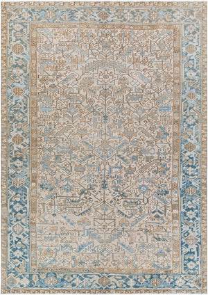 Surya Antique 7'5" X 10'10" Handcrafted Turkish Wool Rug - Unique, Durable, Perfect For Traditional Homes! Sky Blue Wool,Cotton Aooak1205-10610