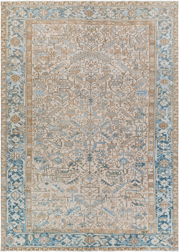 Surya Antique 7'5" X 10'10" Handcrafted Turkish Wool Rug - Unique, Durable, Perfect For Traditional Homes! Sky Blue Wool,Cotton Aooak1205-10610