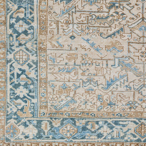 Surya Antique 7'5" X 10'10" Handcrafted Turkish Wool Rug - Unique, Durable, Perfect For Traditional Homes! Sky Blue Wool,Cotton Aooak1205-10610