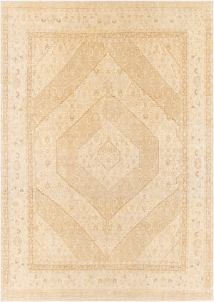 Surya Antique One of a Kind Hand Knotted Wool Rug Formal Living Room Statement Piece AOOAK1223-10214