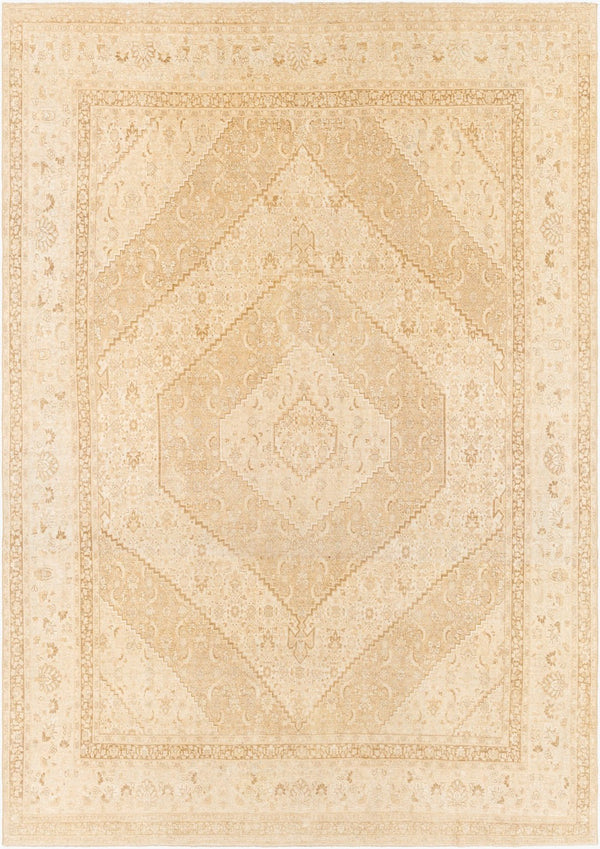 Surya Antique One of a Kind Hand Knotted Wool Rug Formal Living Room Statement Piece AOOAK1223-10214