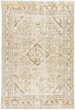 Antique One of a Kind AOOAK-1579 8'8" x 11'3" Handmade Rug AOOAK1579-49115  Pearl, Ash, Warm Grey, Sage Surya