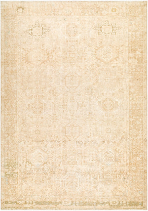 Surya Antique Hand-knotted Turkish Wool Cotton Rug with Low Pile and Fringe Detail AOOAK1794-7811