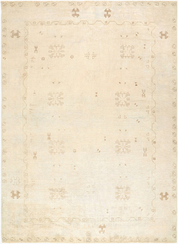 Surya Antique One of a Kind Handknotted Wool Area Rug Fringe Border Living Room Accent AOOAK1900-96129