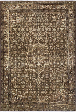 Surya Antique 7'5" X 10'10" Handcrafted Turkish Wool Rug - Unique, Durable, Perfect For Traditional Homes! 'Earthy Brown Wool,Cotton Aooak1938-4367