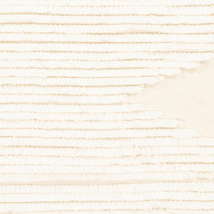 Livabliss Apache Hand Woven Wool Accent Rug Bohemian Global Pattern for Entryways and Bedside Cream 9' x 12' APA2301-912
