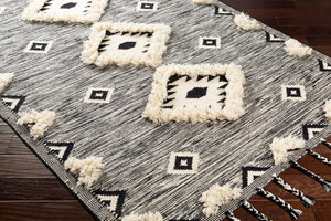 Livabliss Apache Moroccan Inspired Handwoven Wool Accent Rug with Fringe for Entryway Decor Black, Cream 8' x 10' APA2302-810