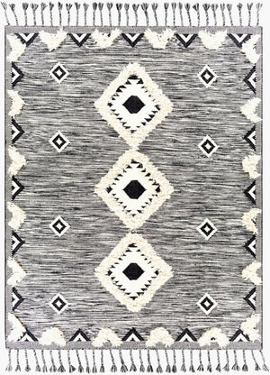 Livabliss Apache Moroccan Inspired Handwoven Wool Accent Rug with Fringe for Entryway Decor Black, Cream 8' x 10' APA2302-810