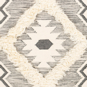 Livabliss Apache Handwoven Wool Accent Rug with Moroccan Geometry Artisan Fringe for Entryways Charcoal, Ivory 6' x 9' APA2305-69