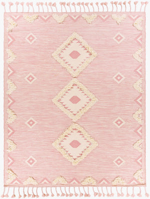 Livabliss Apache Handwoven Wool Runner Rug Moroccan Bohemian Pattern for Hallway or Entryway Light Pink, Cre 3' x 5' APA2308-35