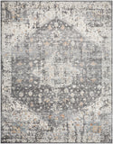 Alpharetta Machine Woven Rug APH-2301