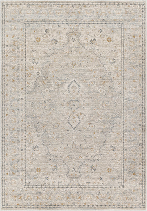 Alpharetta APH-2303 9'2" x 12' Machine Woven Rug APH2303-9212 Livabliss Surya