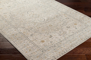 Alpharetta APH-2303 9'2" x 12' Machine Woven Rug APH2303-9212 Livabliss Surya