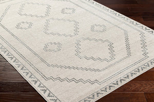 Livabliss Alpharetta Polypropylene Area Rug Turkish Woven Classic Pattern for Living Rooms APH2306-9212