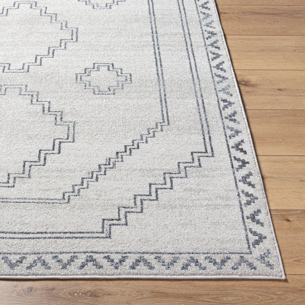 Livabliss Alpharetta Polypropylene Area Rug Turkish Woven Classic Pattern for Living Rooms APH2306-9212