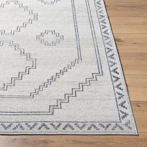 Livabliss Alpharetta Polypropylene Area Rug Turkish Woven Classic Pattern for Living Rooms APH2306-9212