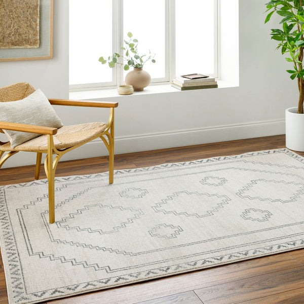 Livabliss Alpharetta Polypropylene Area Rug Turkish Woven Classic Pattern for Living Rooms APH2306-9212