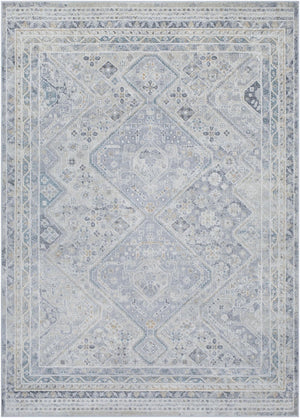 Livabliss Alpharetta Traditional Machine Woven Polypropylene Area Rug for Living and Dining Rooms APH2311-9212