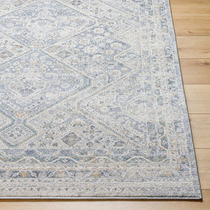Livabliss Alpharetta Traditional Machine Woven Polypropylene Area Rug for Living and Dining Rooms APH2311-9212