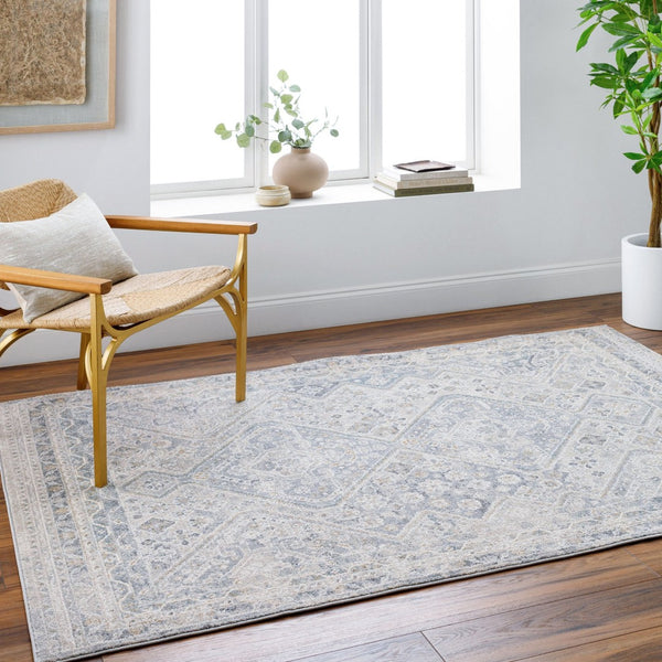 Livabliss Alpharetta Traditional Machine Woven Polypropylene Area Rug for Living and Dining Rooms APH2311-9212
